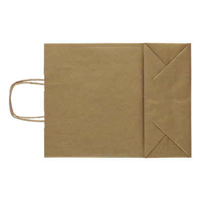 brown plain smooth paper bags – without printing 3