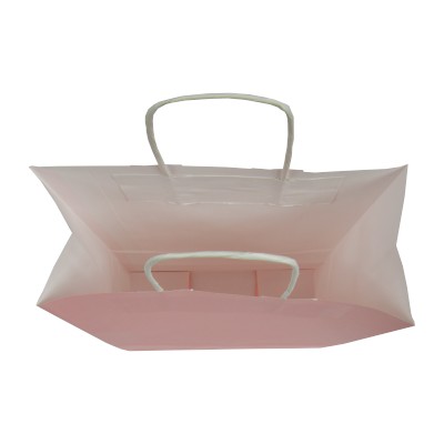 pastel paper bags – standard 4